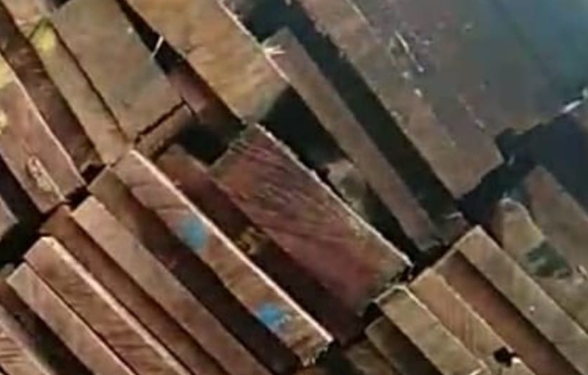 Hipemarohi Desak Polda Riau Usut Dugaan Illegal Logging di Rohil